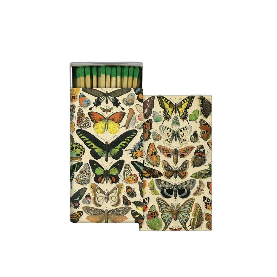 butterfly specimens matches