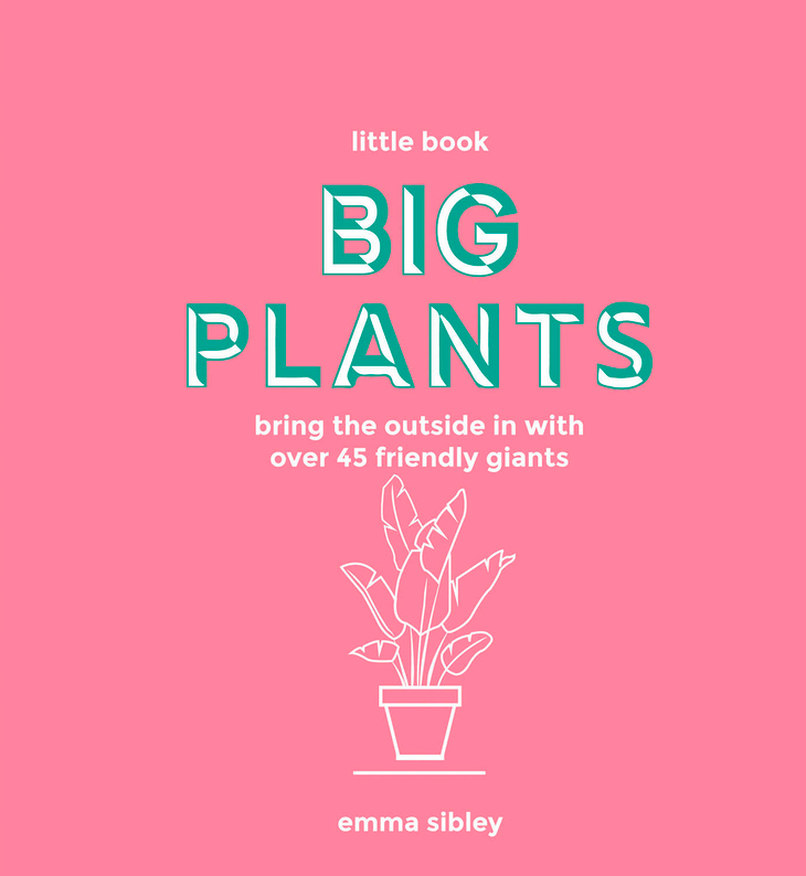 hachette big plant book