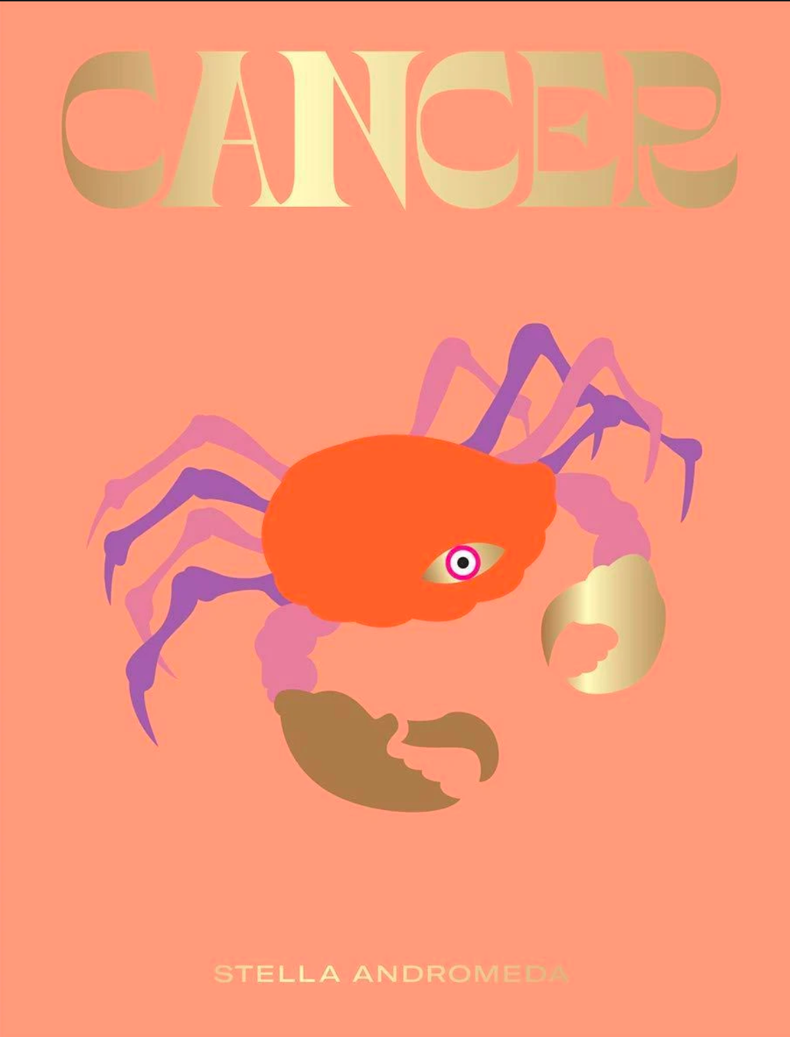 hachette cancer book
